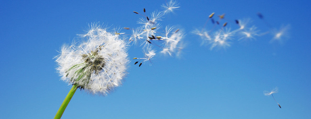 Allergologie in der Praxis Klinik Dülmen